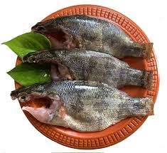 Meni Fish (Veda)