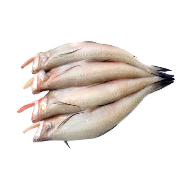 Lotia Fish (In Ice Block) (Cleaned)2X250gm