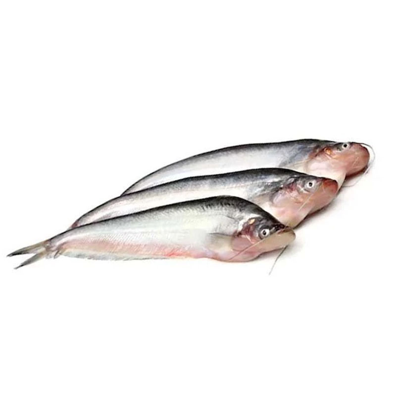 Pabda Fish (Cleaned) (Medium) 2X400gm