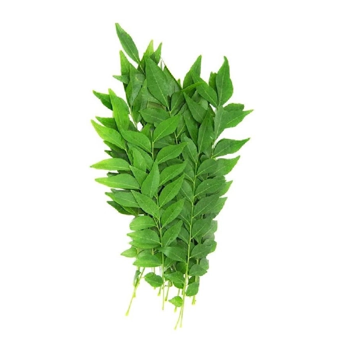 Daun Kari / Curry Leaf (Frozen)