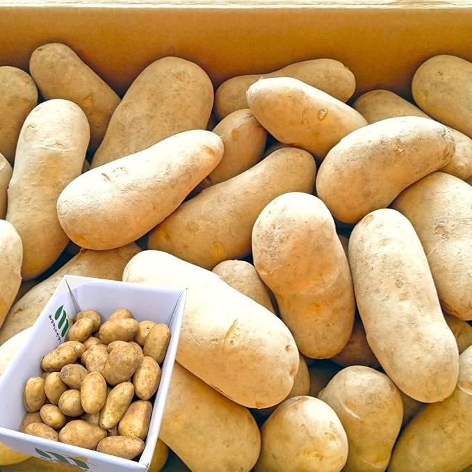 Potatoes (Alu- Frozen & Boiled) (Vegetable)