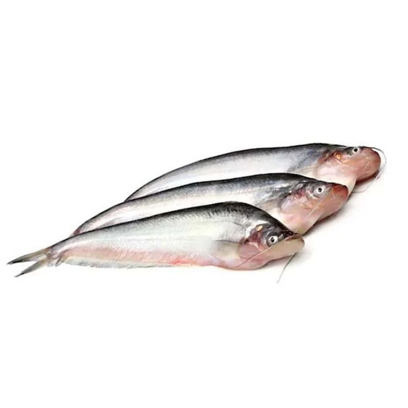 Pabda Fish (Cleaned) (Medium) 400gm